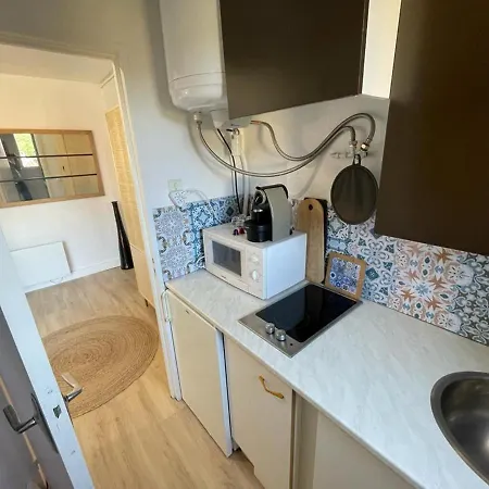 4 Personnes Avec Terrasse A 300m De La - Fr-1-309-372 Apartment Collioure